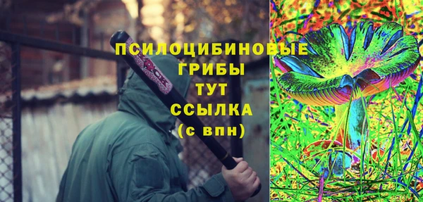 apvp Алексин