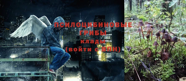 стафф Алзамай