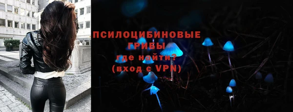 стафф Алзамай