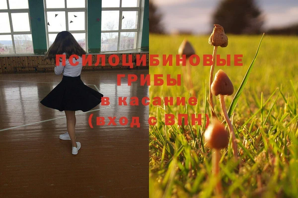 винт Магас