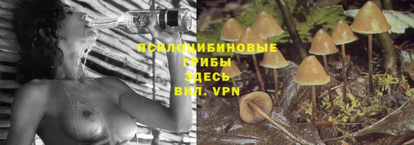 apvp Алексин