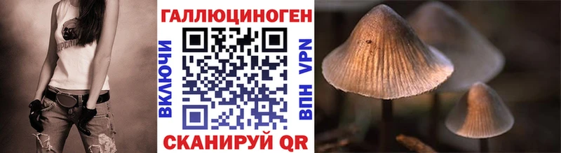 где продают наркотики  Новая Ляля  Галлюциногенные грибы Magic Shrooms 